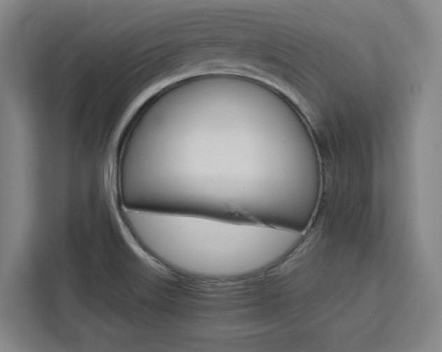 X0000111451515200907131030