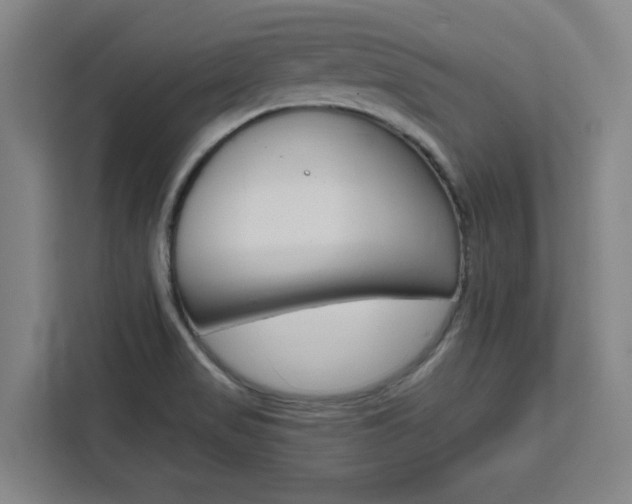 X0000111451517200907131030