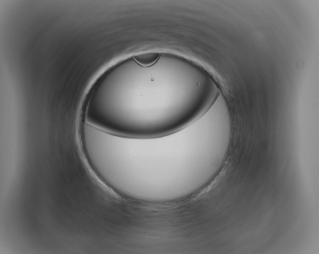 X0000111451518200907131030