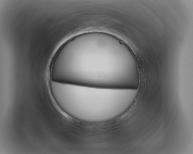 X0000111451519200907131030