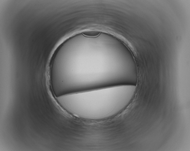 X0000111451522200907131031