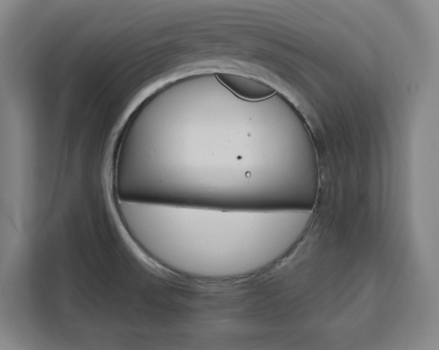X0000111451523200907131031