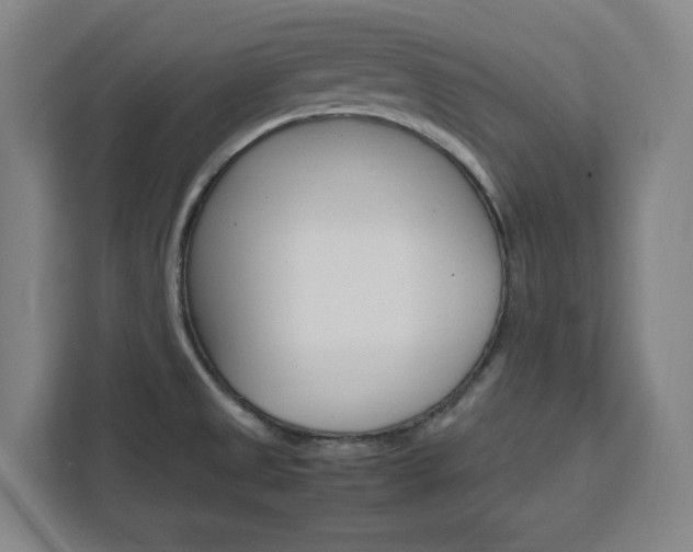 X0000111451525200907131031