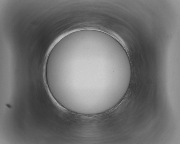 X0000111451528200907131031