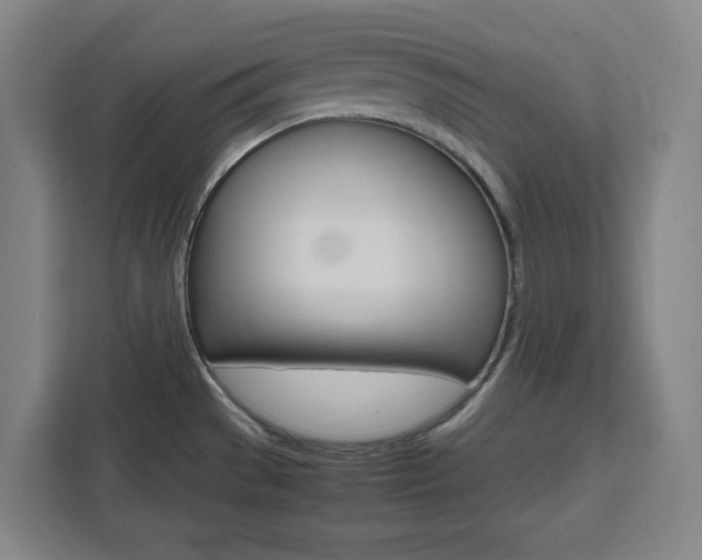 X0000111451529200907131031