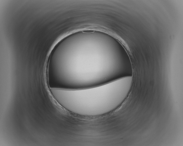 X0000111451530200907131031
