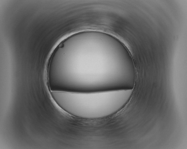 X0000111451531200907131031