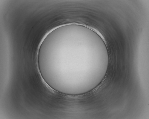 X0000111451532200907131031