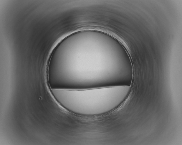 X0000111451533200907131031