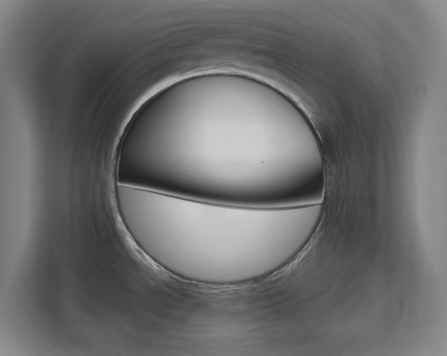 X0000111451534200907131031