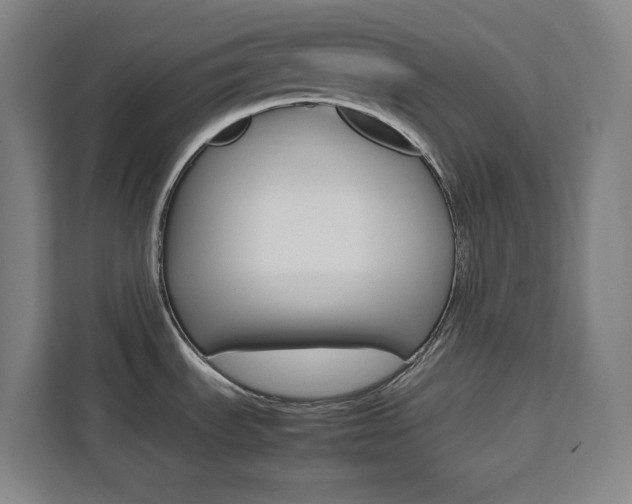 X0000111451535200907131031