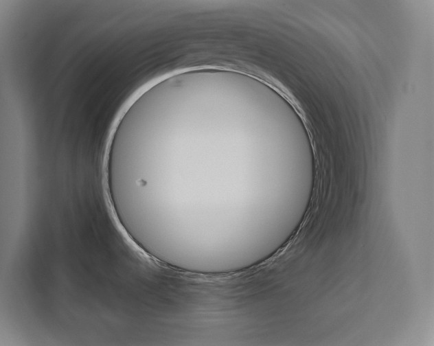 X0000111451536200907131031