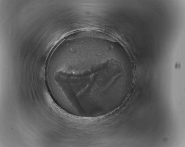 X0000111450002200907131340