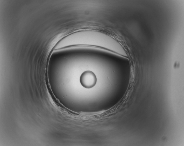X0000111450003200907131340