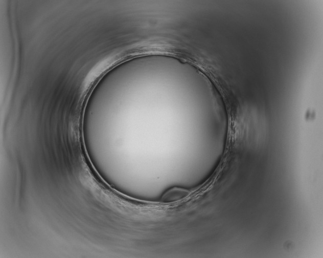 X0000111450004200907131340