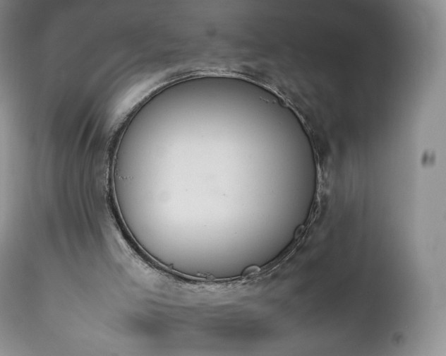 X0000111450005200907131340