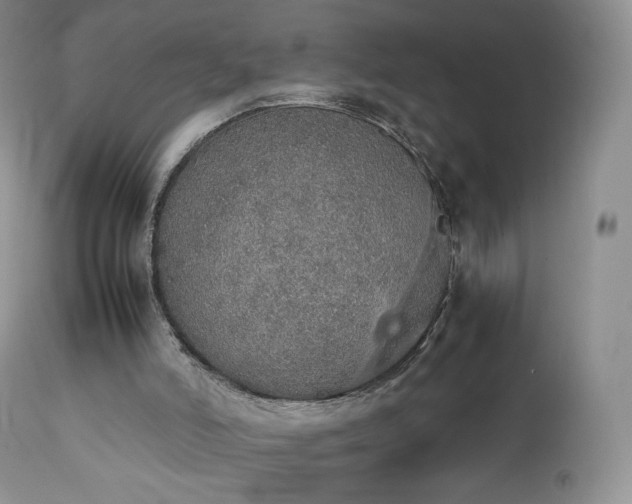 X0000111450006200907131340