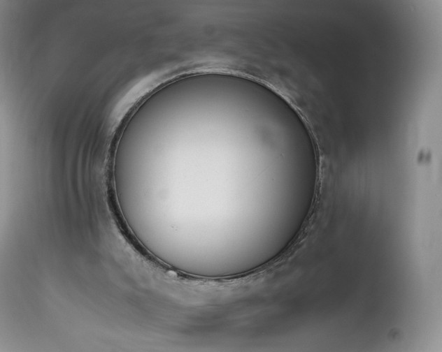 X0000111450007200907131340