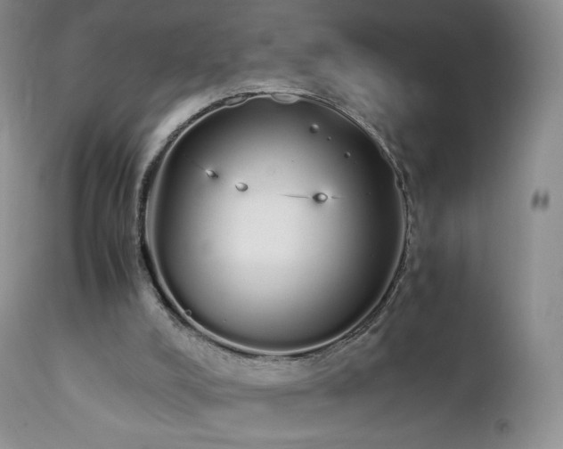 X0000111450008200907131340