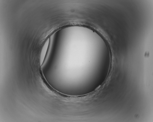 X0000111450009200907131340
