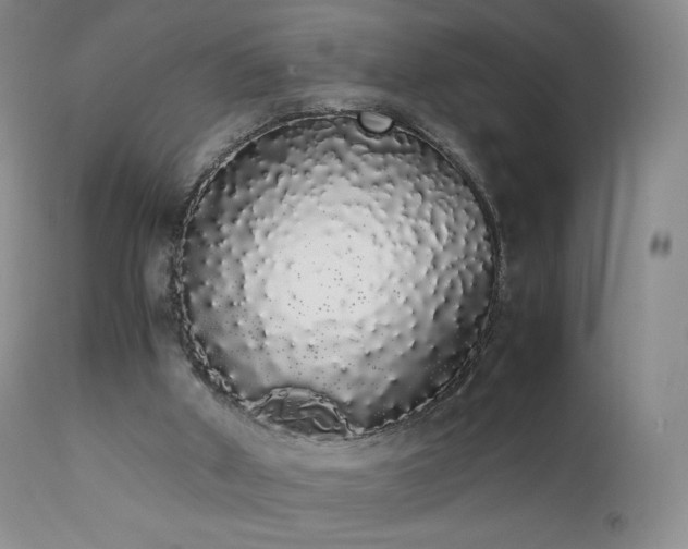 X0000111450010200907131340