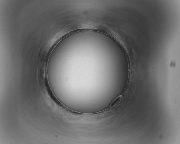 X0000111450011200907131340