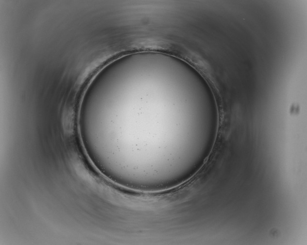 X0000111450012200907131340