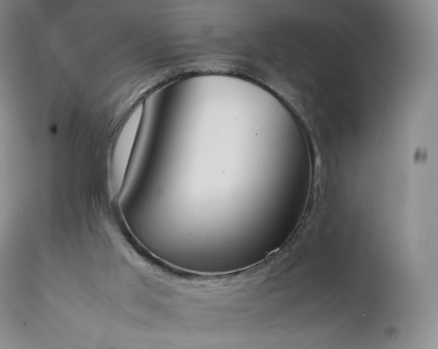 X0000111450013200907131340
