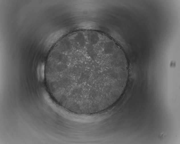 X0000111450014200907131340