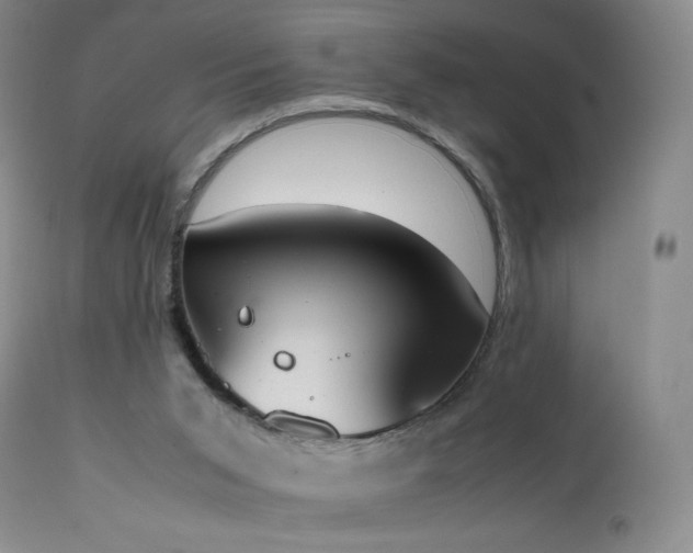 X0000111450015200907131340