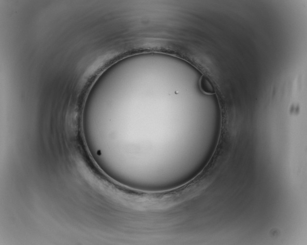 X0000111450016200907131340