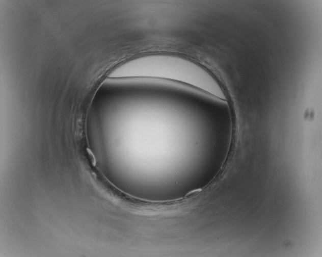 X0000111450017200907131340