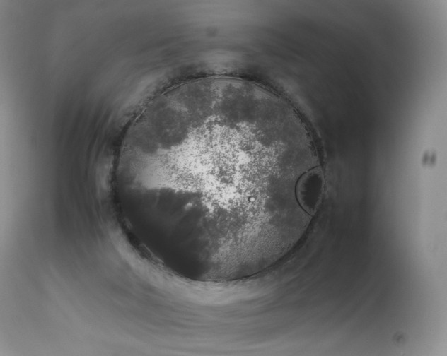 X0000111450018200907131340