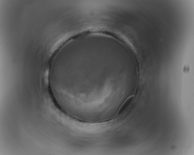 X0000111450019200907131340
