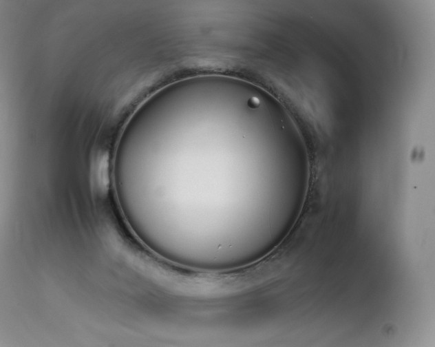 X0000111450020200907131340