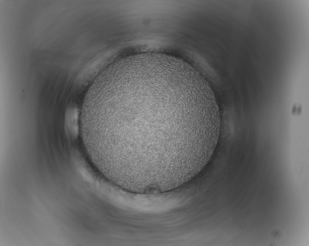 X0000111450022200907131340