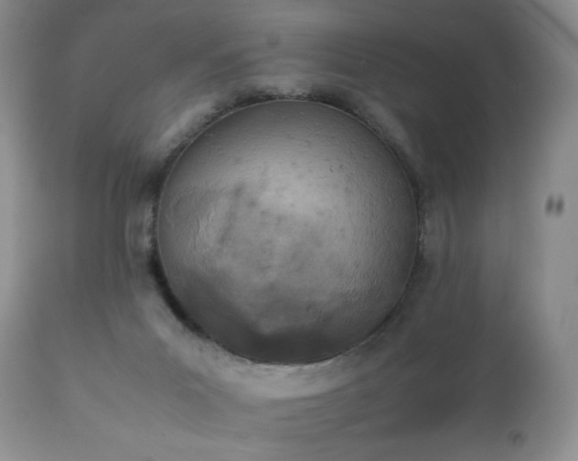X0000111450023200907131340