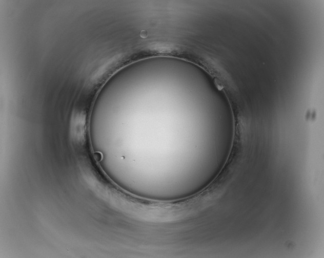 X0000111450024200907131340