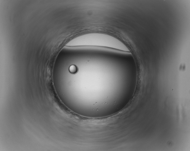 X0000111450025200907131340