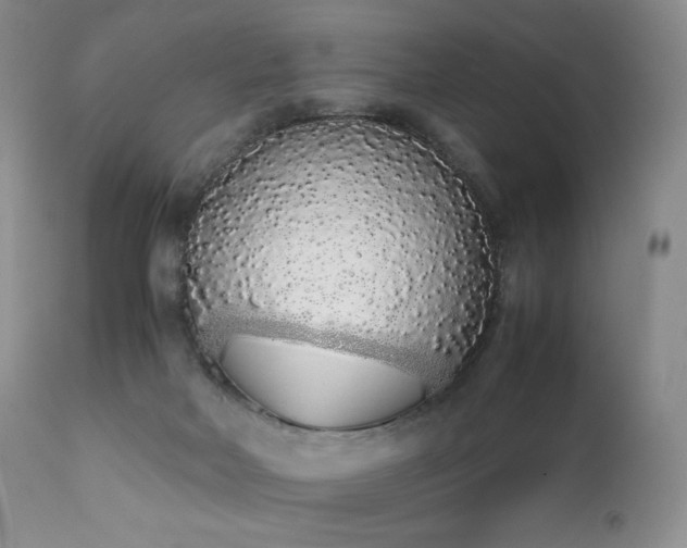 X0000111450026200907131340