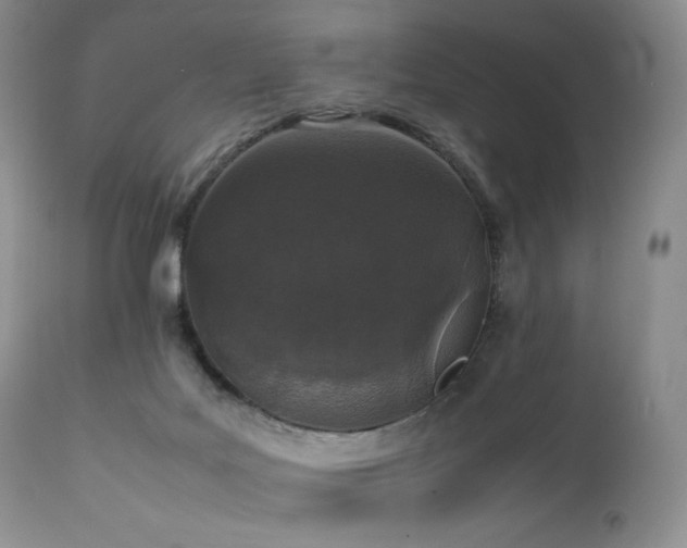 X0000111450027200907131340