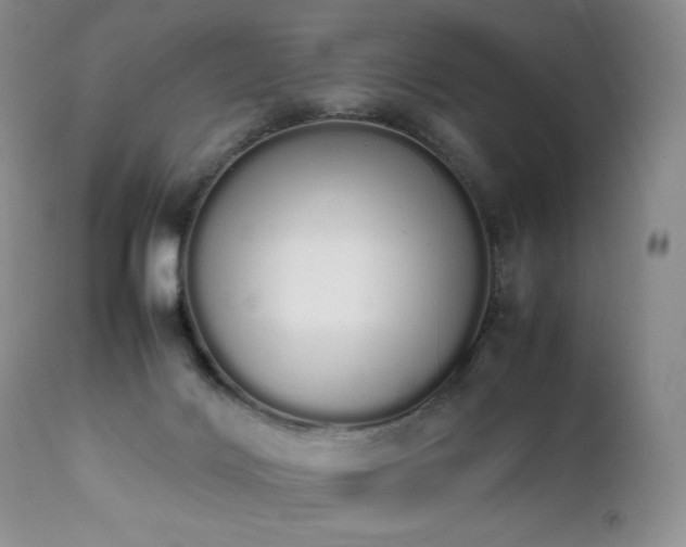 X0000111450028200907131340