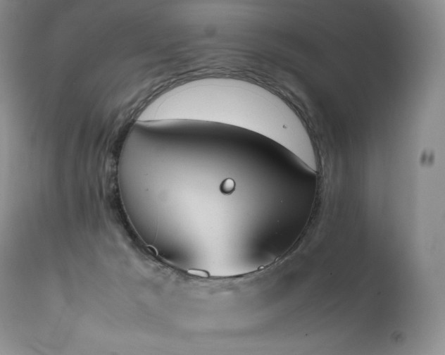 X0000111450029200907131340
