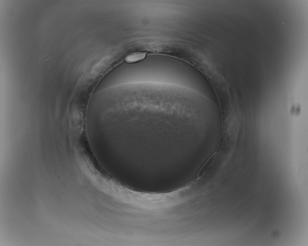 X0000111450031200907131340