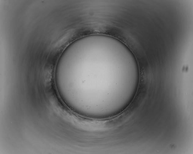 X0000111450032200907131340