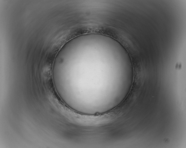 X0000111450034200907131340