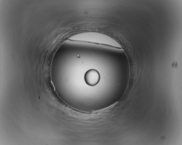 X0000111450035200907131340