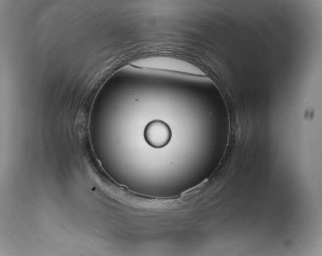 X0000111450036200907131340