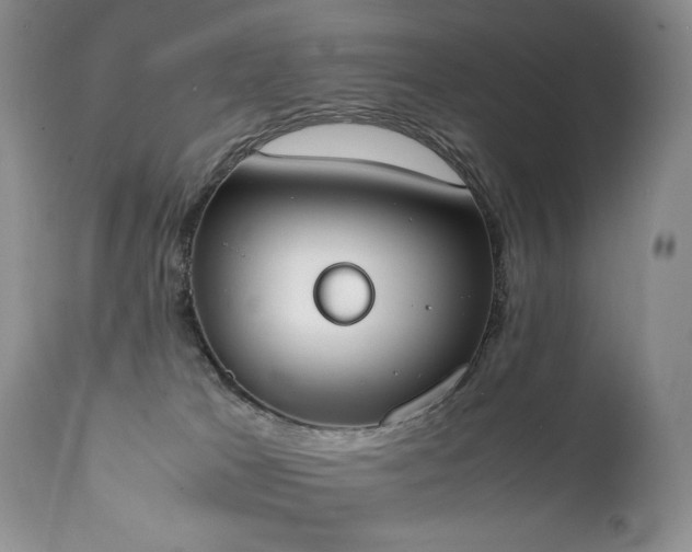 X0000111450037200907131340