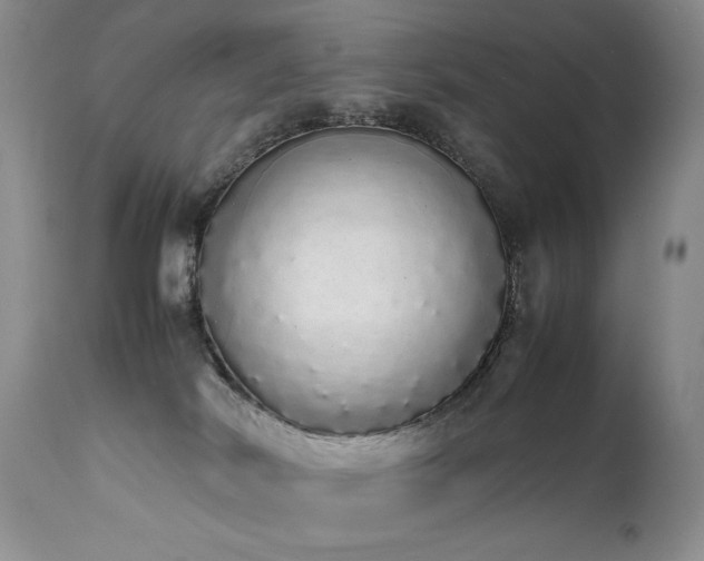 X0000111450038200907131340